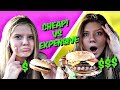 Cheap vs Expensive Drive-Thru Challenge | Surviving 24 Hours on a Food Budget || Taylor & Vanessa