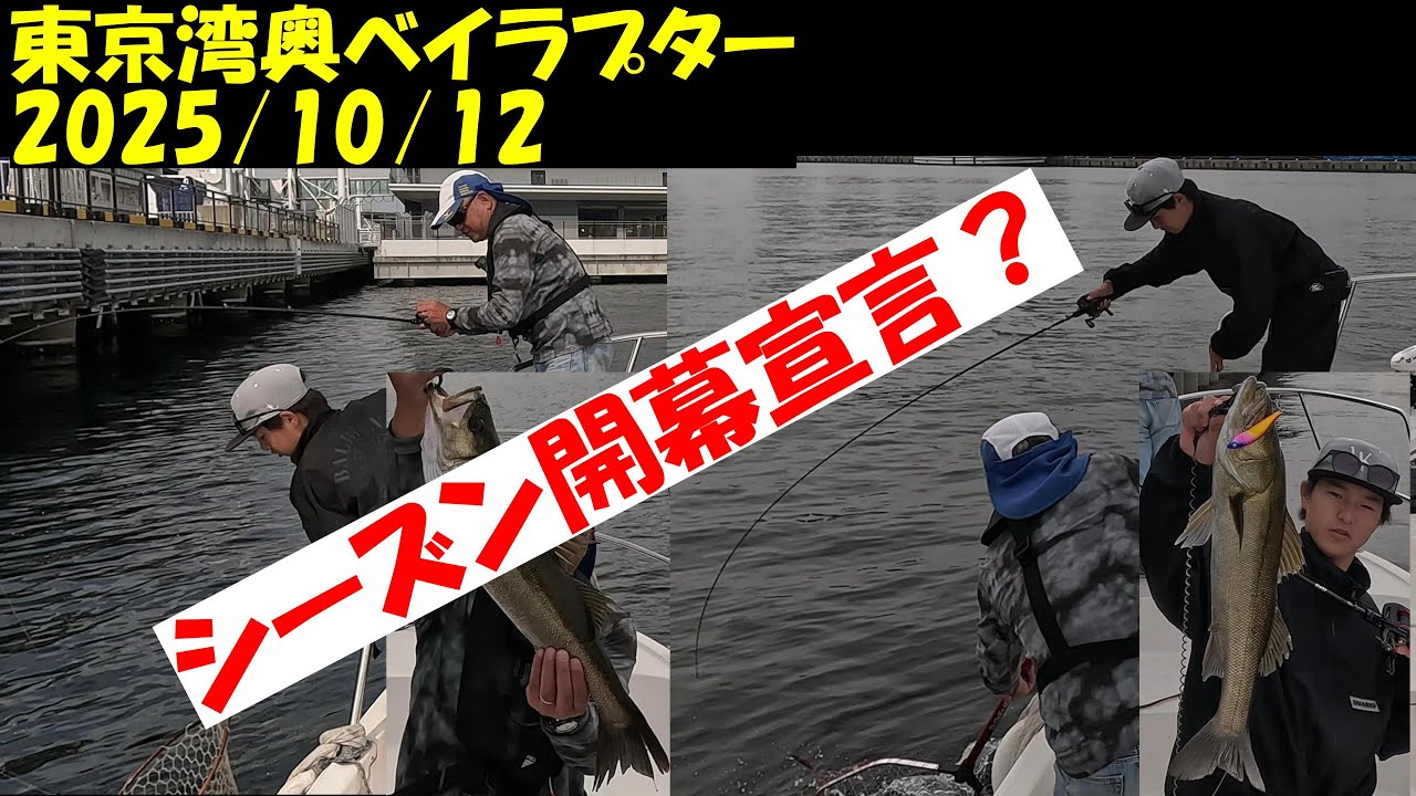 【東京湾ボートシーバス釣行記】令和７年１０月１２日　本格的シーズン前の最終調査釣行に行ってきました。　一応、シーズン開幕宣言できる釣りが出来ました。