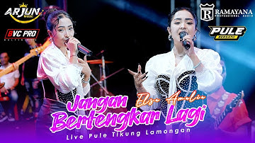 JANGAN BERTENGKAR LAGI - ELSA AMELIA - ARJUN MUSIC LIVE PULE  LAMONGAN ( COVER )