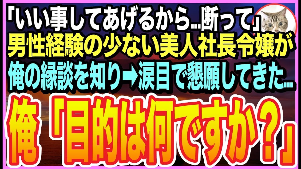 【感動★総集編】転職先の男嫌いな美人すぎる社長令嬢が、俺のお見合いを知った途端➡︎普段出さない甘い声で「凄い事してあげるから…断って♡」と涙目で誘惑してきたので、俺は思わず・・・【いい話】【朗読】