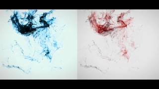 3D Studio Max: Ink Simulations with Krakatoa tests.mov