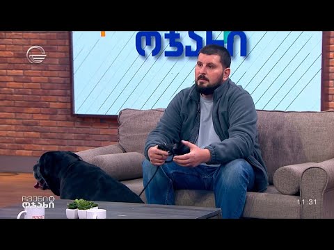 როდის და როგორ უნდა გავწვრთნათ ძაღლები - ზვიად ჩიხლაძის რეკომენდაციები