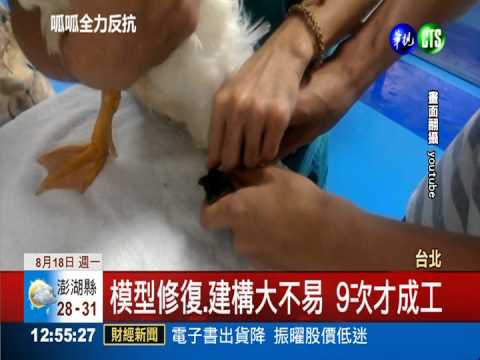 3D列印技術夯 台大"呱呱"鴨能走了