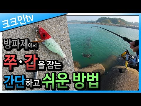 쭈꾸미 갑오징어 워킹 낚시 / 홍원항 방파제