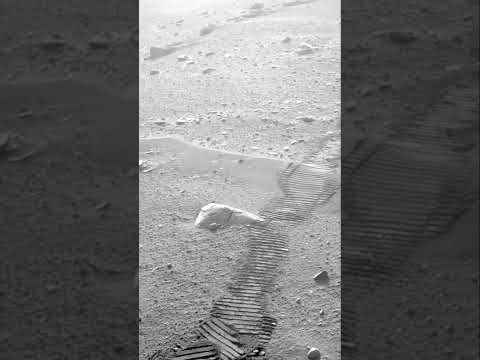 Mars Perseverance Rover