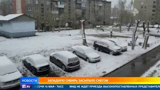 Западную Сибирь засыпало снегом