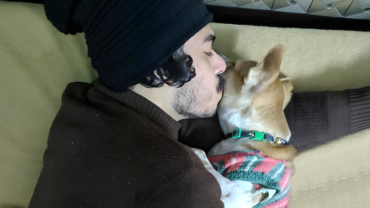 I Adopted A Street Dog (Storytime)