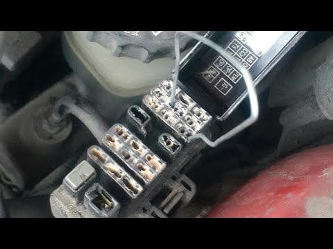 Диагностика toyota скрепкой