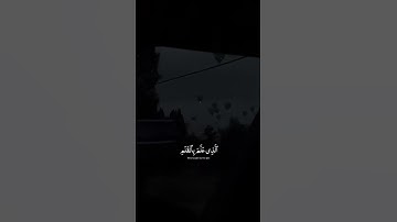 اكتب شي تؤجر عليه 🤍 | القارئ عبدالرحمن مسعد | قرآن كريم