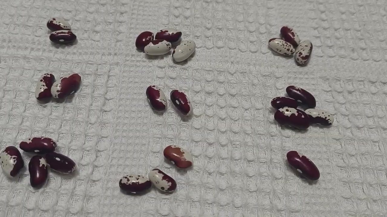 Козерог. Гадание на декабрь 2025.