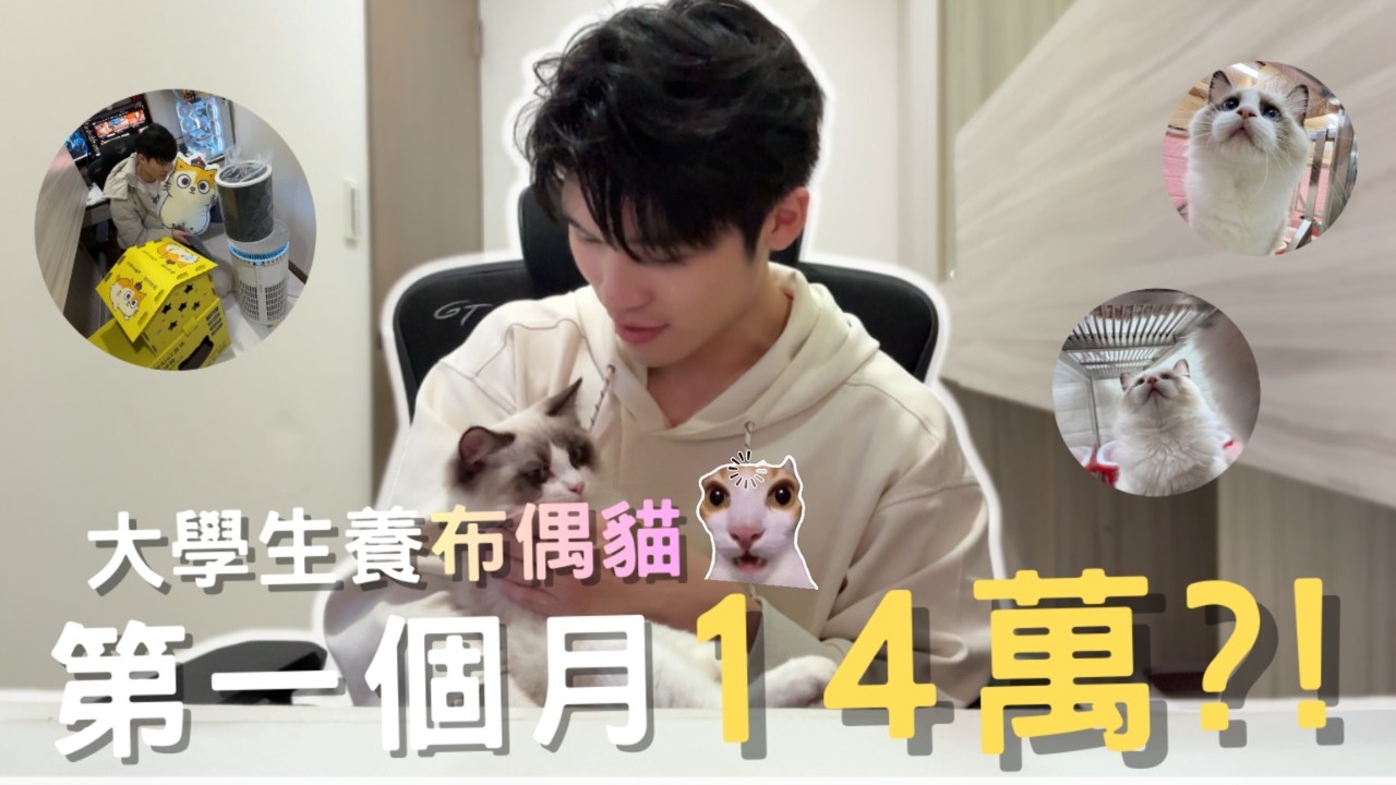 【Rex達哥】養布偶貓第一個月，我噴了14萬多…