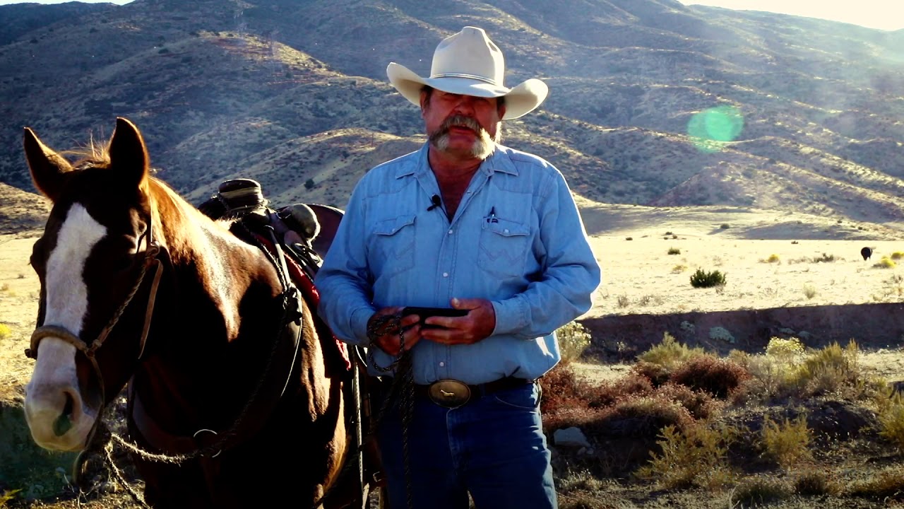 Real Facts About Real Beef: Grazing Cattle vs Crops