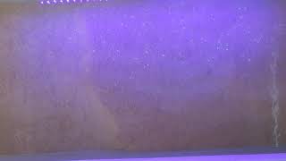Bedform Migration with Fluorescent Tracer Particles