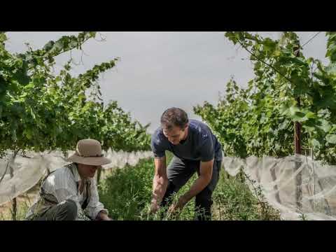 Video Agricultura regenerativa: buena para el suelo y para el bolsillo