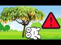 इस पेड़ के नीचे सोये तो कभी उठ नहीं पाएंगे | NEVER Sleep Under This Tree (You'll Never Wake Up)