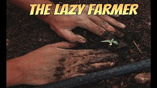 The Lazy Farmer - A Story About Working Hard