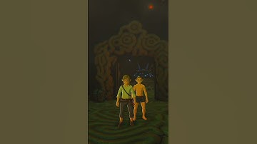 BALD LINK IS REAL🤣Multiplayer Breath of the Wild BOTW Mod