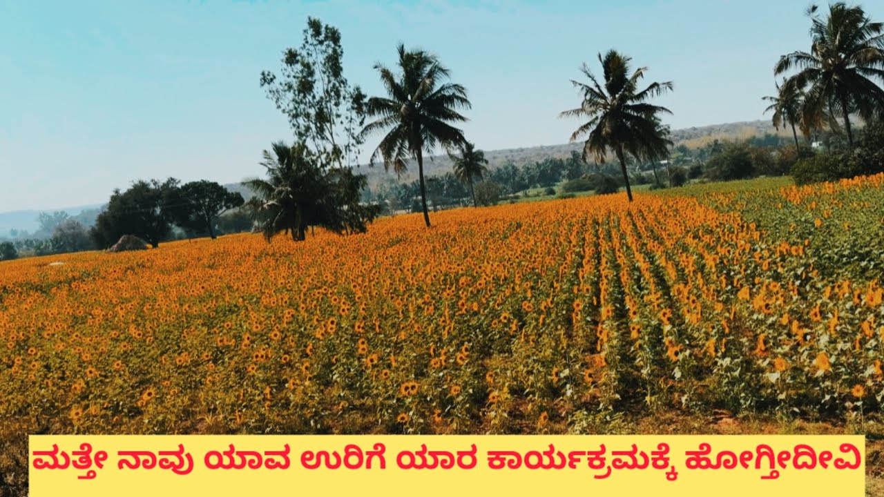 ಮತ್ತೇ ನಾವು ಯಾವ ಉರಿಗೇ ಹೋಗ್ತೀದೀವಿ ?🧳