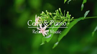 Relaxing Music for Stress Relief and Peaceful Mind  Beautiful Cello & Piano Music