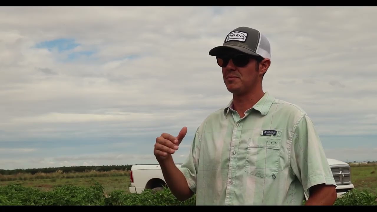 Farm Rescue Story with Worm Gold