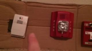 Celebrity Mini System Test 8 Profile