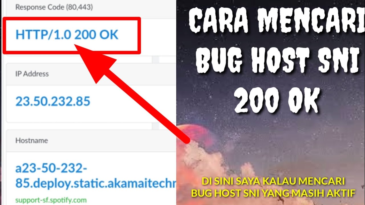 TUTORIAL CARA MENCARI BUG SNI