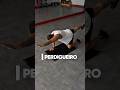Perdigueiro  #dicas #tutorial