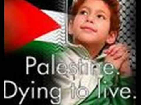 What have you done for Ghaza!?