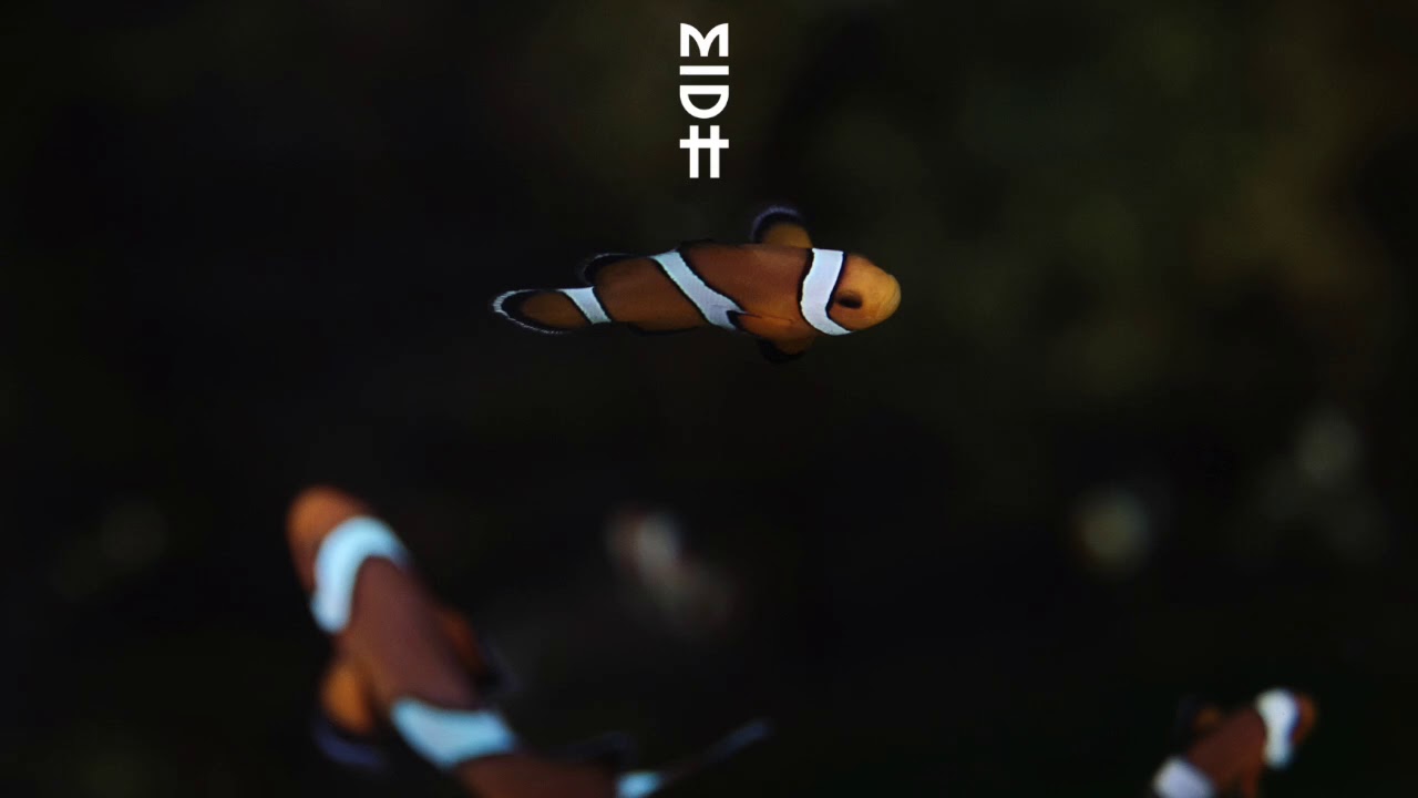 Berserk - Behelit (Sam Goku Edit)