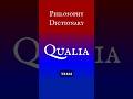 Beyond the Brain: The Philosophy of Qualia