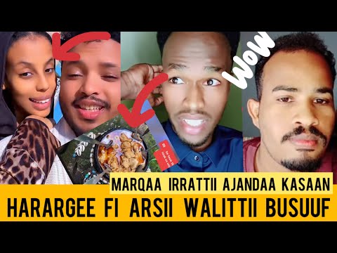 Balaan Buute Nyataa Aadaa Arsiiti Mitii Malee Kana Harargetti Nama Dhaleetu Nyaata Marqaa Jattee