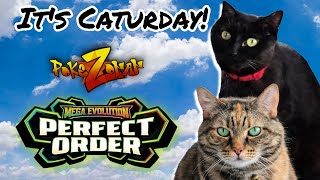 Opening Perfect Order! It's Caturday! screenshot 4
