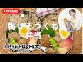 【6月4日朝ライブ】お弁当作り。台風は大丈夫でしたか？