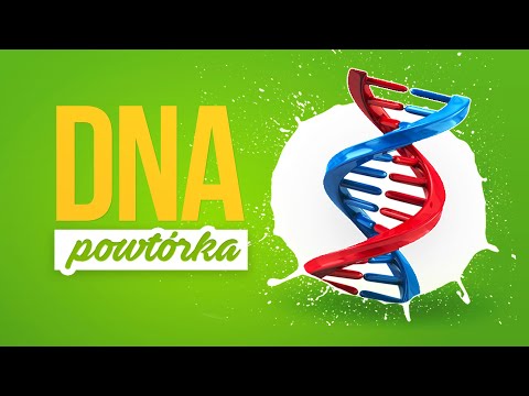 Wideo: Z czego zbudowana jest cząsteczka DNA?