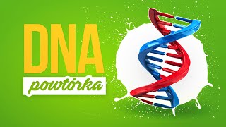 DNA - geneza, kwasy nukleinowe, budowa nukleotydu, komplementarność, cząsteczki.