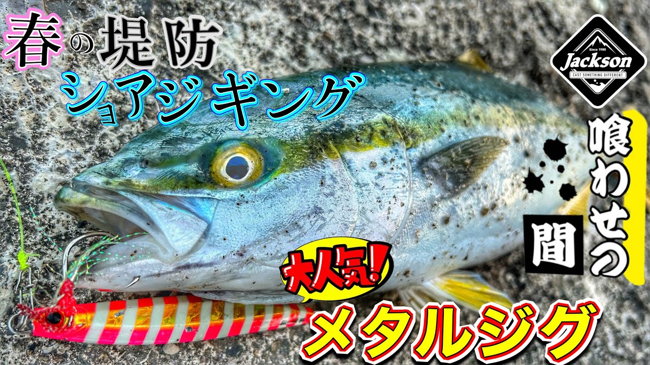 ショアジギング】春の堤防で青物釣るならJacksonだ!! メタルエフェクト