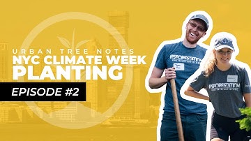 Urban Forestry at Climate Week in New York City | One Tree Planted