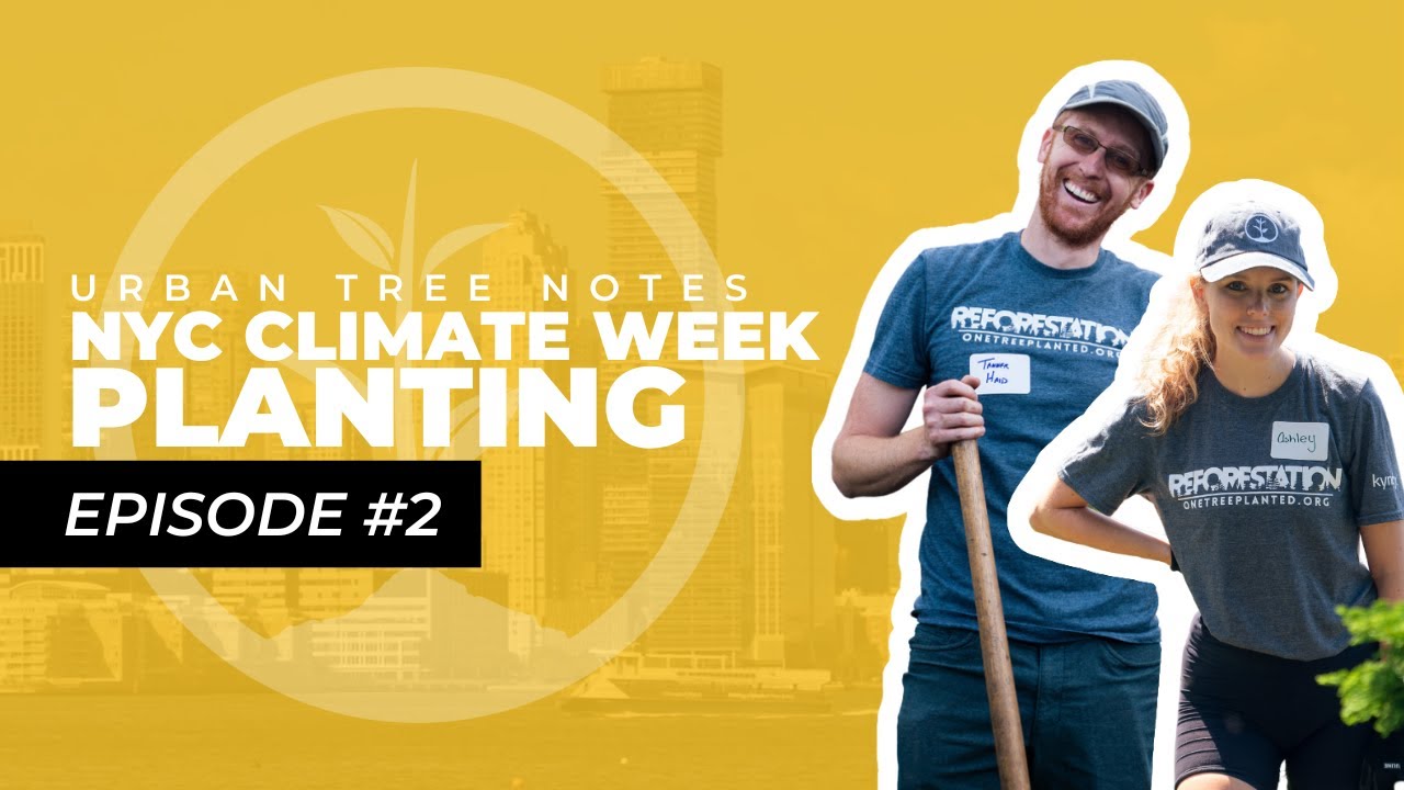 Urban Forestry at Climate Week in New York City | One Tree Planted