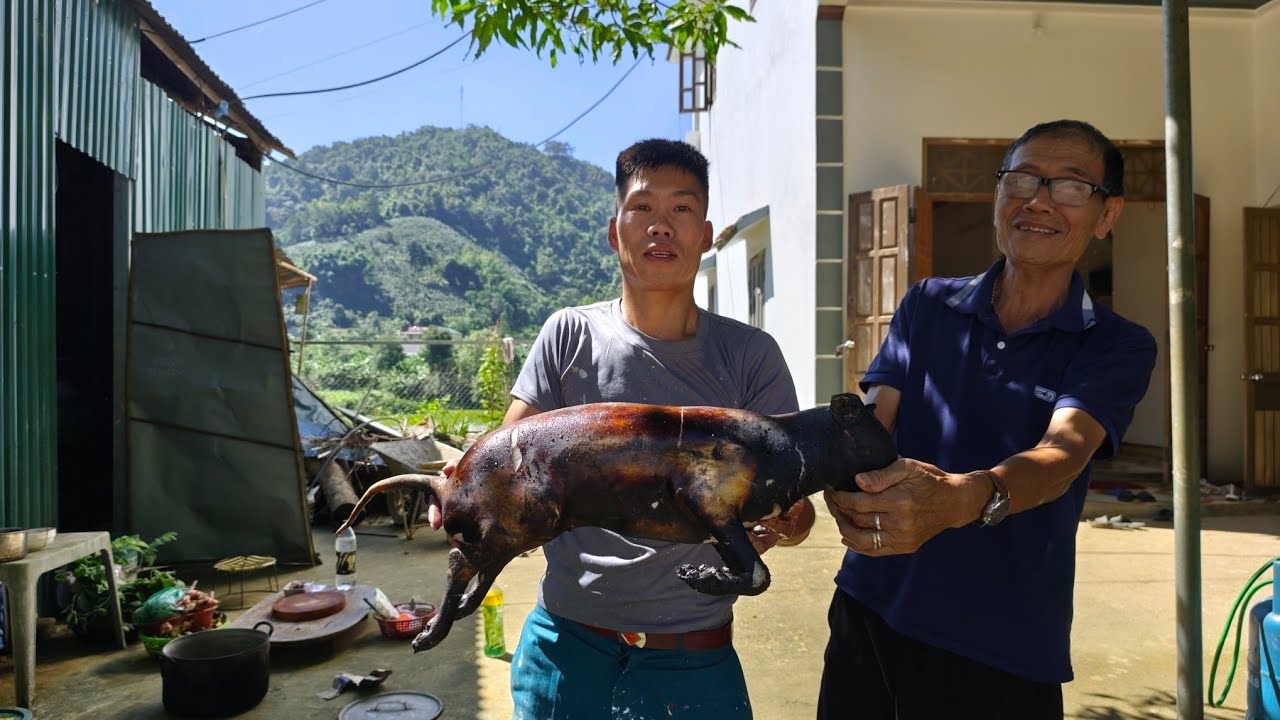 Vitamin gâu gâu/Tam TV