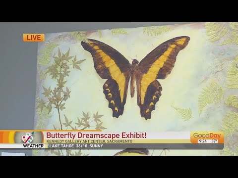 butterfly-dreamscape-exhibit