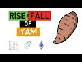 Meteoric Rise And Fall Of YAM Explained - Ethereum, DEFI