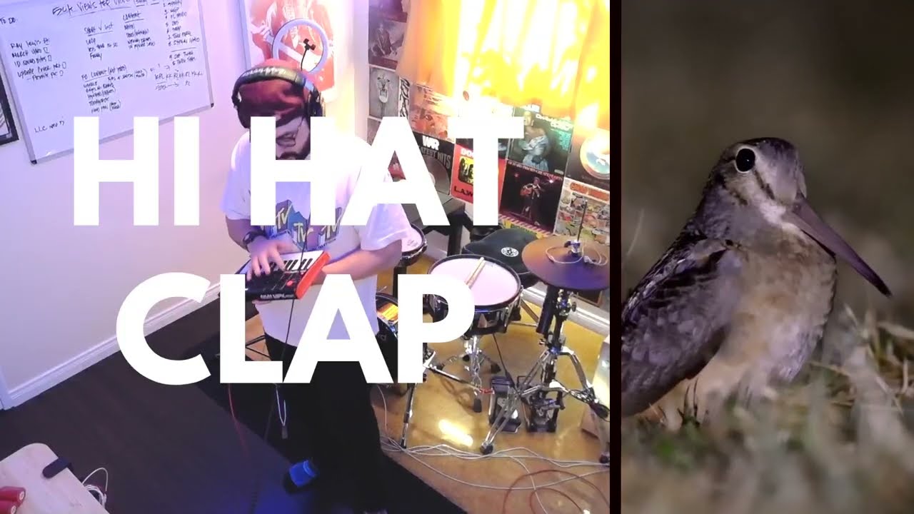 THIS FLAPS HARD - I'M A BIRD MOTHA' F***** (Ultimate Bird Remix)