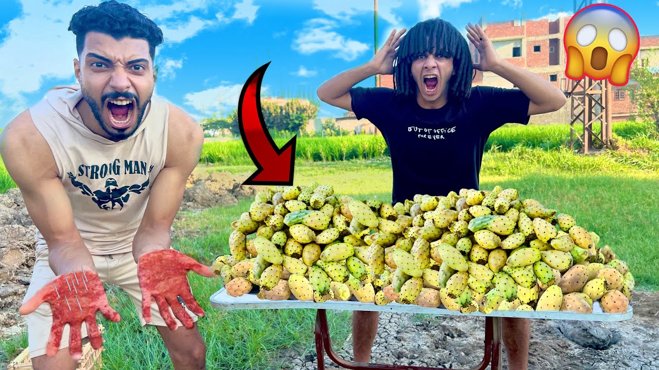 تحدي اكل اكبر كميه تين شوكي في العالم بقشره ( حطمنا الرقم القياسي؟)😱