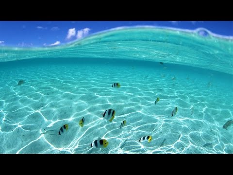2 ore musica Mare Profondo e Onde per concentrarsi - YouTube