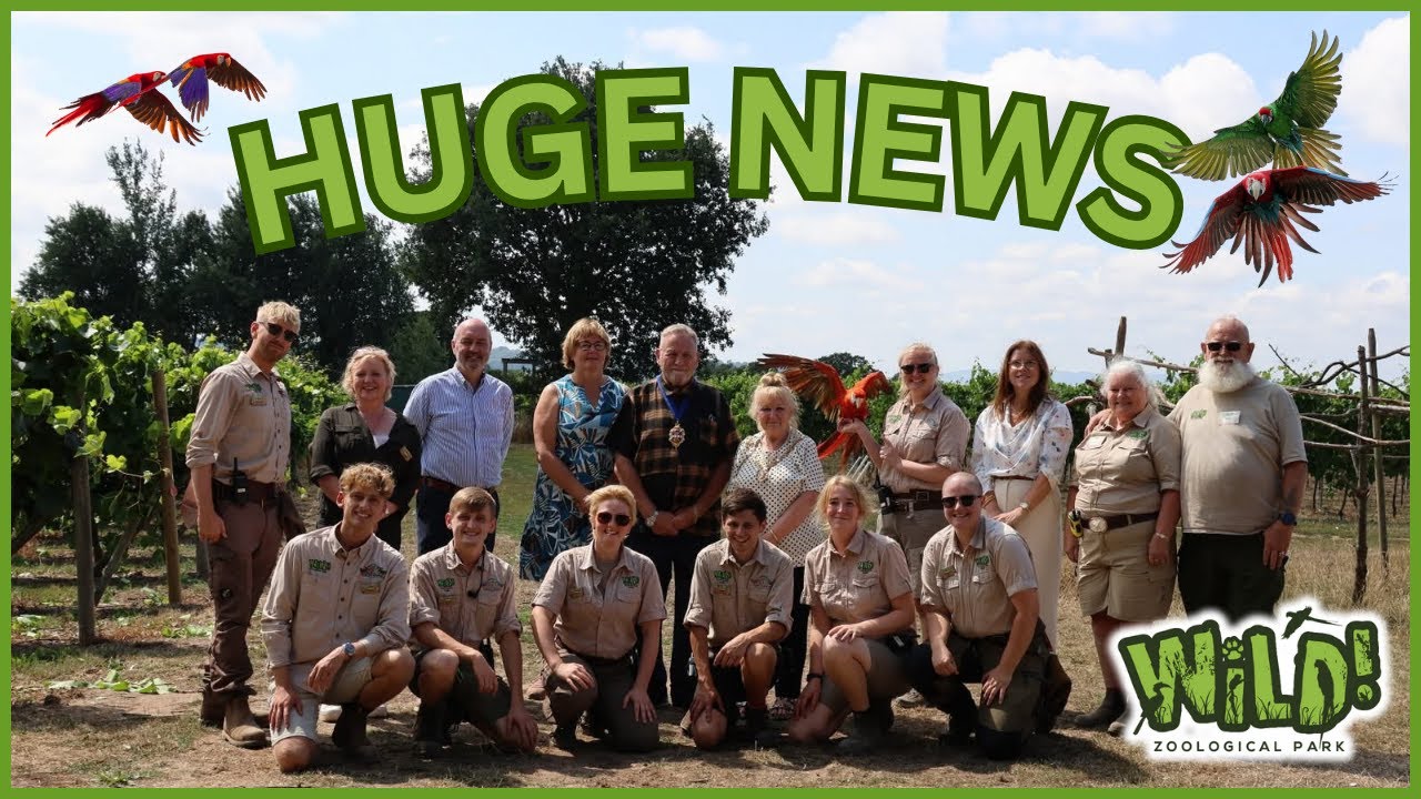 The future of WILD Zoological park!