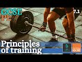 Principles of Training and Overload Quiz