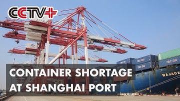 Shanghai Port Suffers from Shortage of Containers amid Trade Recovery