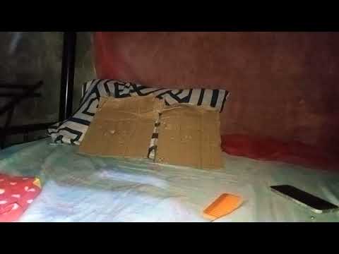 Pellet Gun vs Cardboard 130FPS