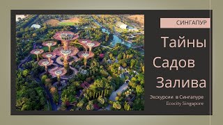 Сингапур. Тайны Садов у Залива.