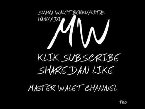 SUARA PANGGIL WALET BLUE DRAGON ORI 4.00.000